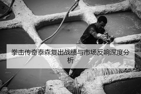 拳击传奇泰森复出战绩与市场反响深度分析